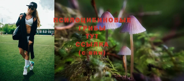 метамфетамин Аркадак