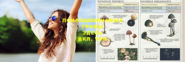прущие крисы Армянск