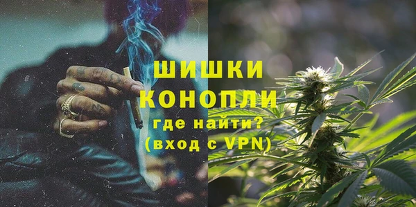 ешки Арсеньев