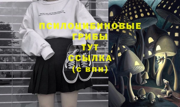 ешки Арсеньев